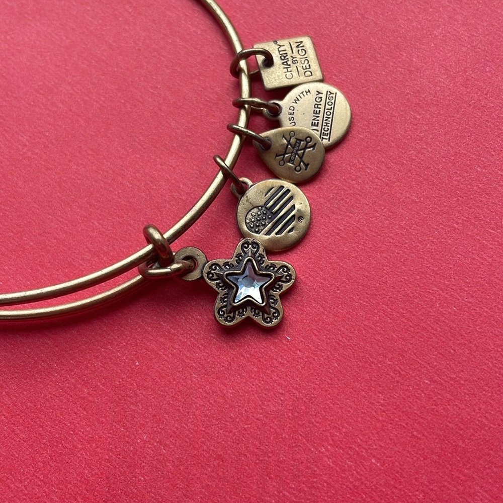 True wish charm bracelet- Alex and Ani - Picture 6 of 8
